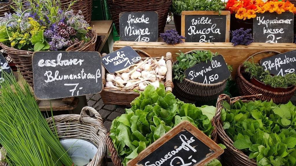 Pourquoi privilégier les légumes de saison au quotidien ?